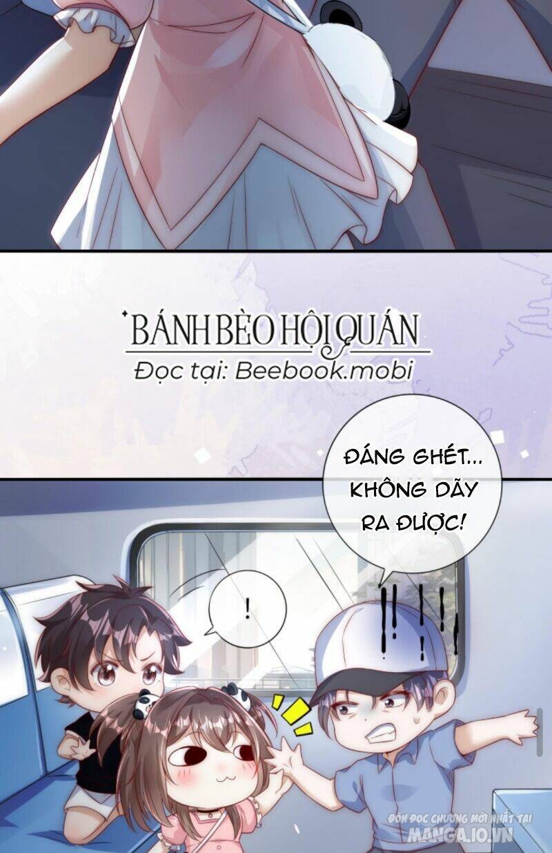 Sủng Bé Cá Koi 3 Tuổi Rưỡi Chapter 18 - Trang 2