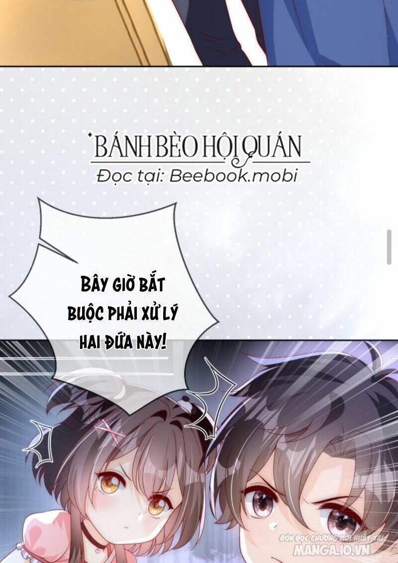 Sủng Bé Cá Koi 3 Tuổi Rưỡi Chapter 19 - Trang 2