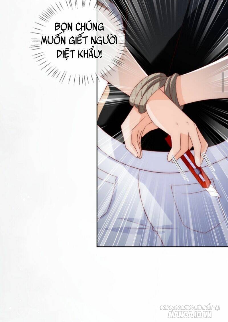 Sủng Bé Cá Koi 3 Tuổi Rưỡi Chapter 19 - Trang 2