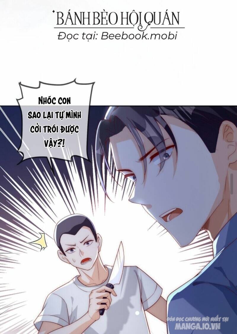 Sủng Bé Cá Koi 3 Tuổi Rưỡi Chapter 19 - Trang 2