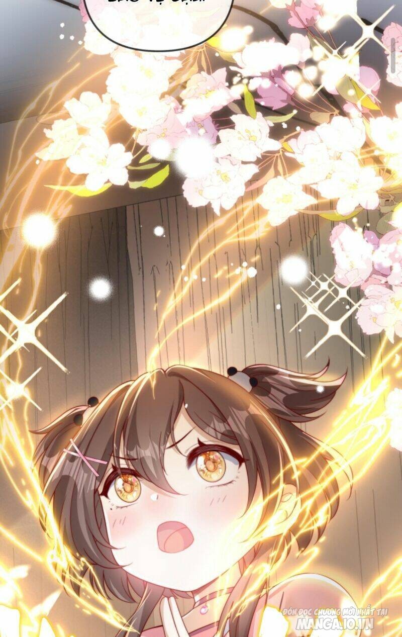 Sủng Bé Cá Koi 3 Tuổi Rưỡi Chapter 19 - Trang 2