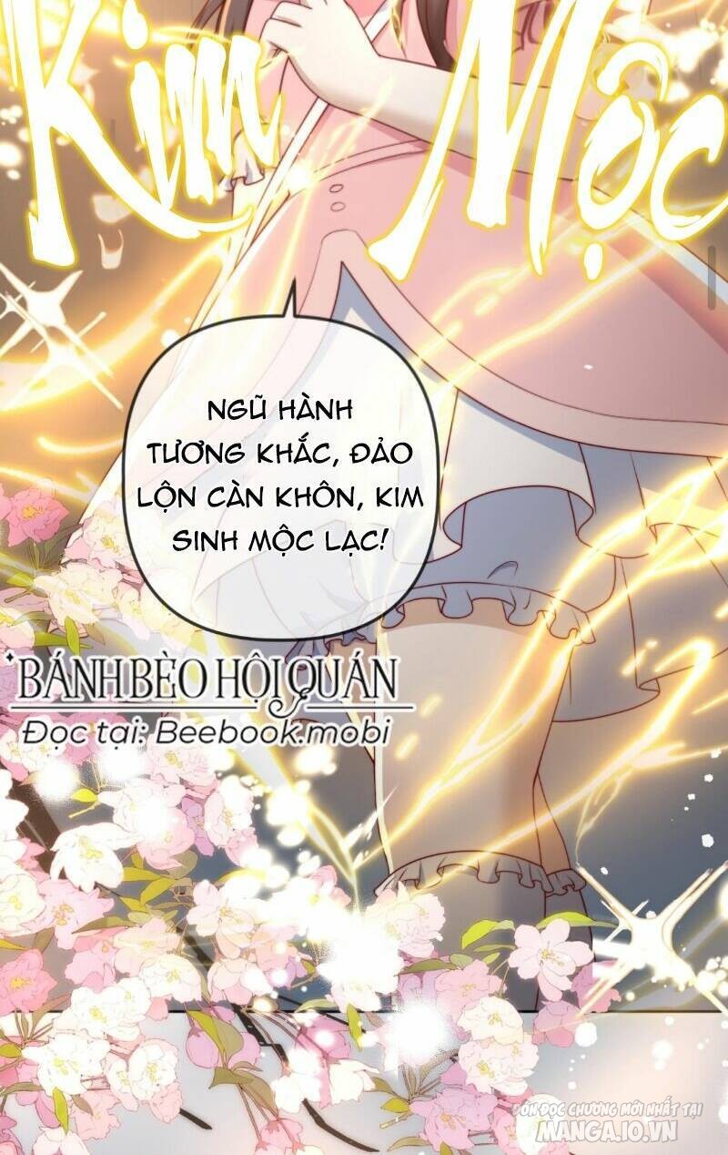 Sủng Bé Cá Koi 3 Tuổi Rưỡi Chapter 19 - Trang 2