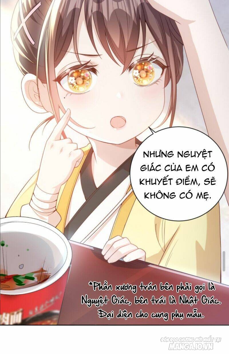 Sủng Bé Cá Koi 3 Tuổi Rưỡi Chapter 2 - Trang 2