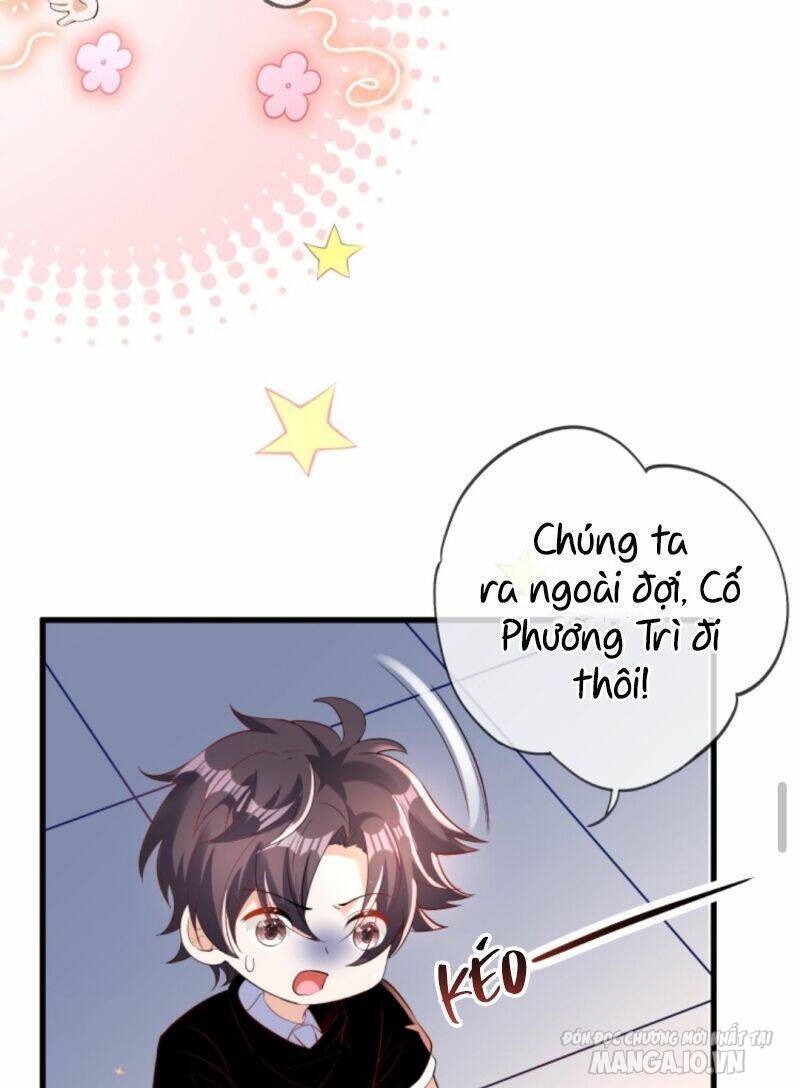 Sủng Bé Cá Koi 3 Tuổi Rưỡi Chapter 21 - Trang 2