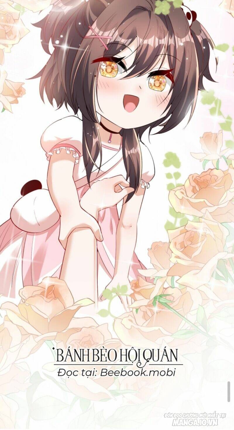 Sủng Bé Cá Koi 3 Tuổi Rưỡi Chapter 21 - Trang 2