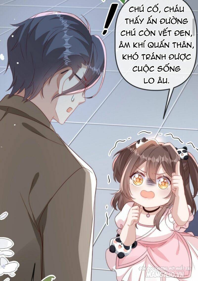 Sủng Bé Cá Koi 3 Tuổi Rưỡi Chapter 22 - Trang 2