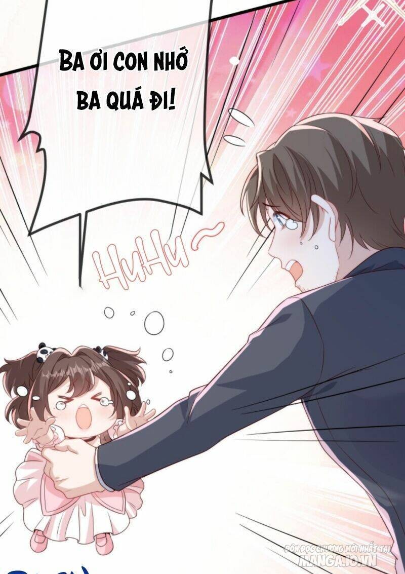 Sủng Bé Cá Koi 3 Tuổi Rưỡi Chapter 22 - Trang 2