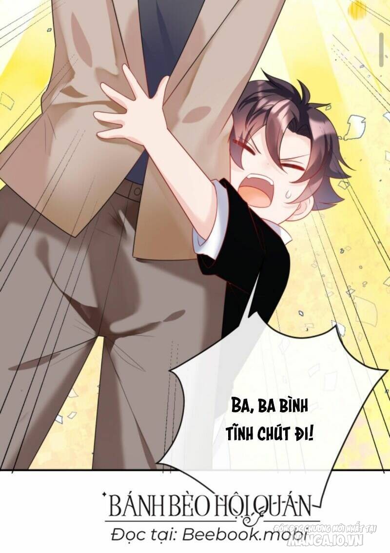 Sủng Bé Cá Koi 3 Tuổi Rưỡi Chapter 23 - Trang 2