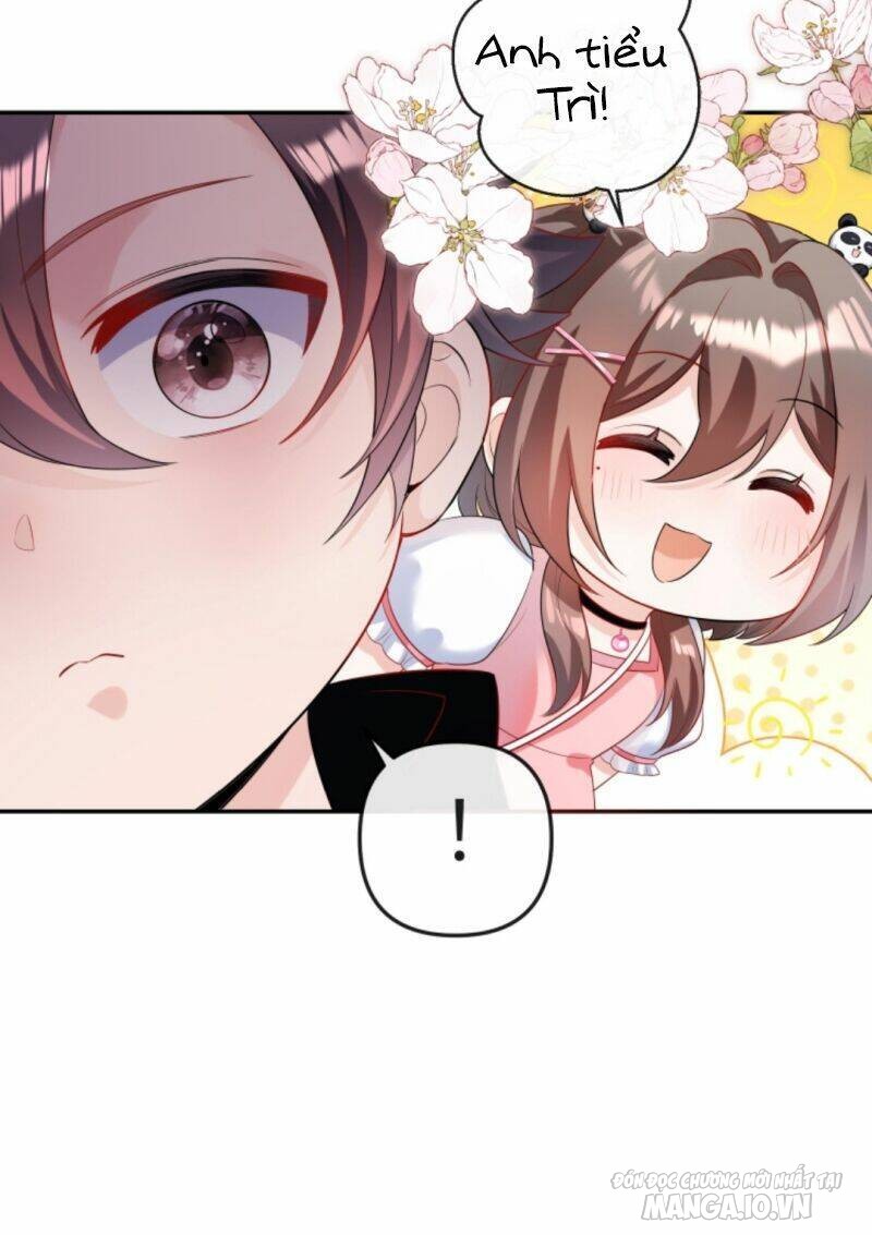 Sủng Bé Cá Koi 3 Tuổi Rưỡi Chapter 23 - Trang 2