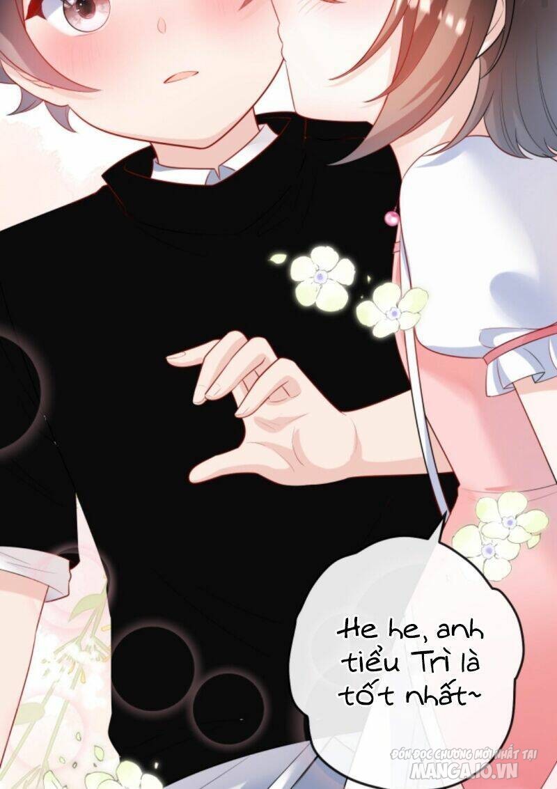 Sủng Bé Cá Koi 3 Tuổi Rưỡi Chapter 23 - Trang 2