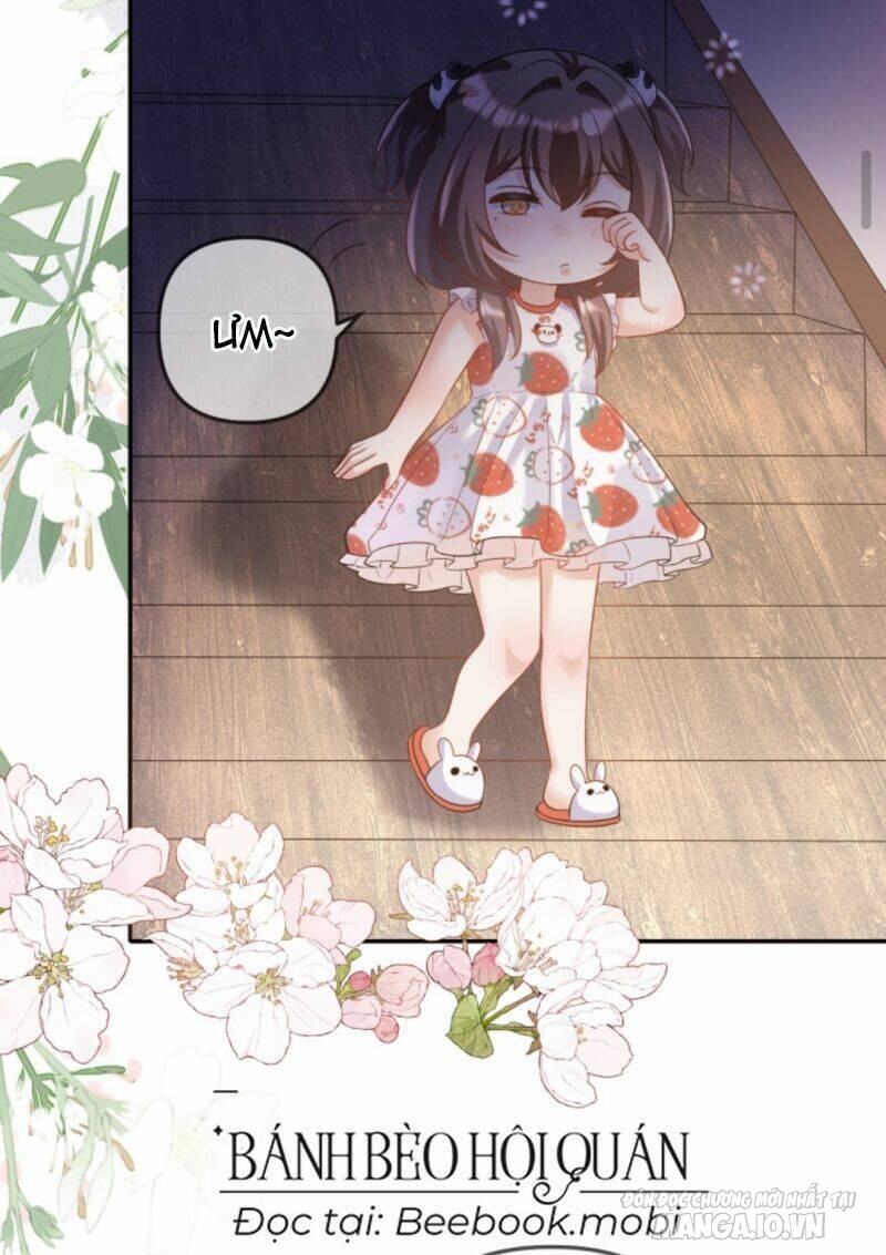 Sủng Bé Cá Koi 3 Tuổi Rưỡi Chapter 23 - Trang 2