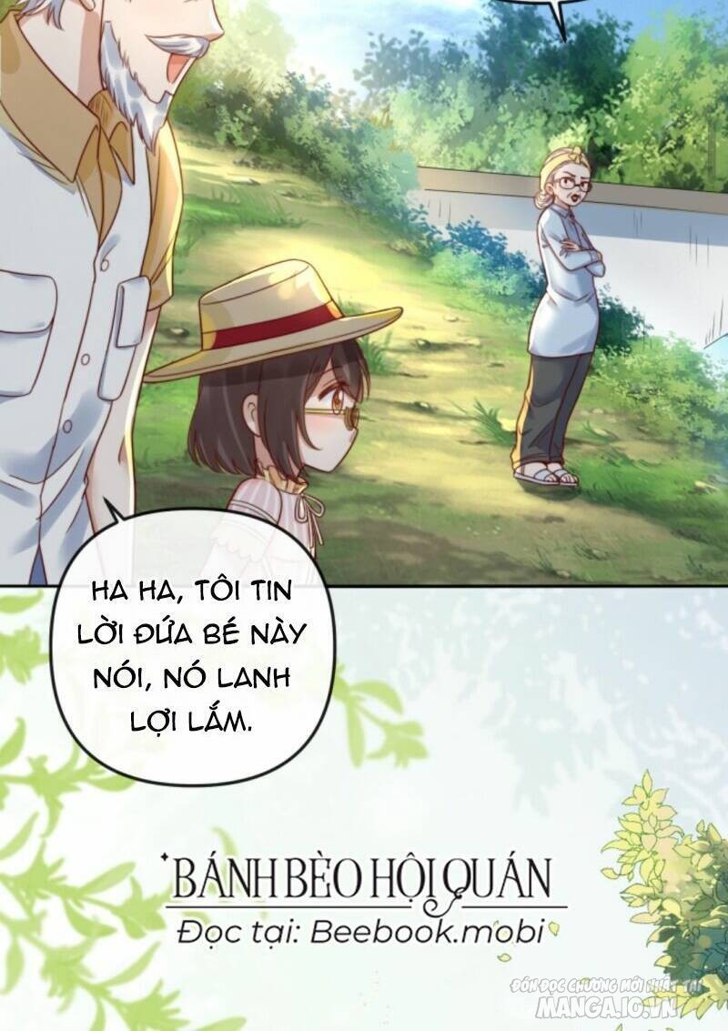 Sủng Bé Cá Koi 3 Tuổi Rưỡi Chapter 24 - Trang 2