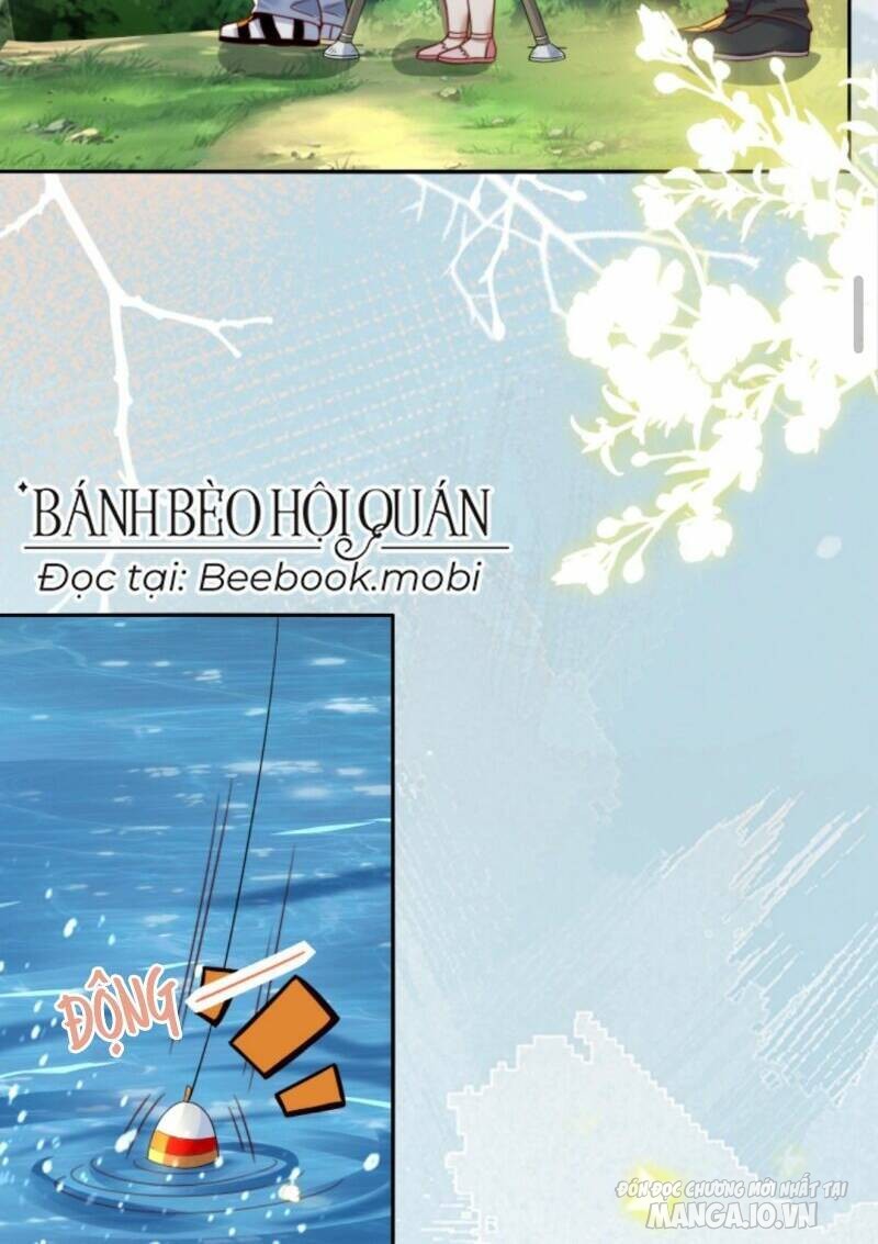 Sủng Bé Cá Koi 3 Tuổi Rưỡi Chapter 24 - Trang 2