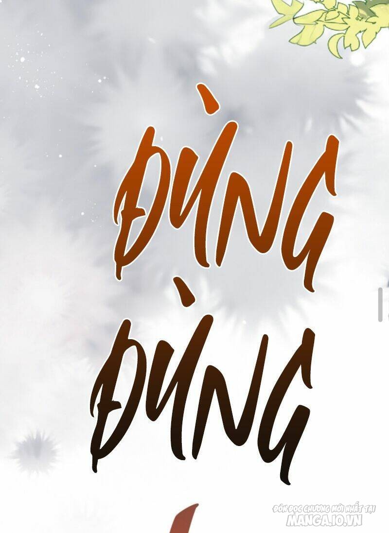 Sủng Bé Cá Koi 3 Tuổi Rưỡi Chapter 24 - Trang 2