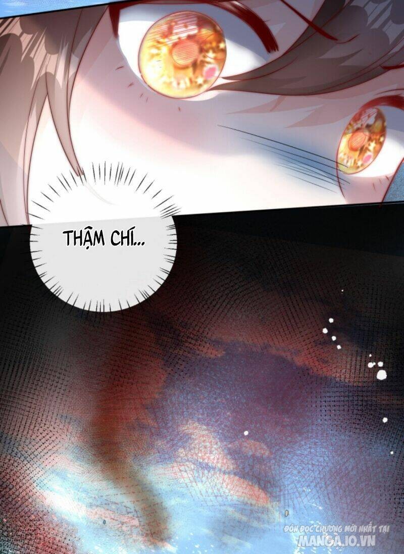 Sủng Bé Cá Koi 3 Tuổi Rưỡi Chapter 24 - Trang 2