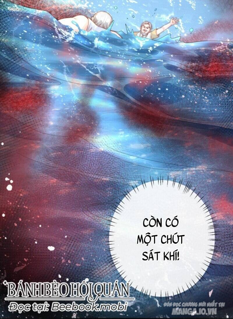 Sủng Bé Cá Koi 3 Tuổi Rưỡi Chapter 24 - Trang 2