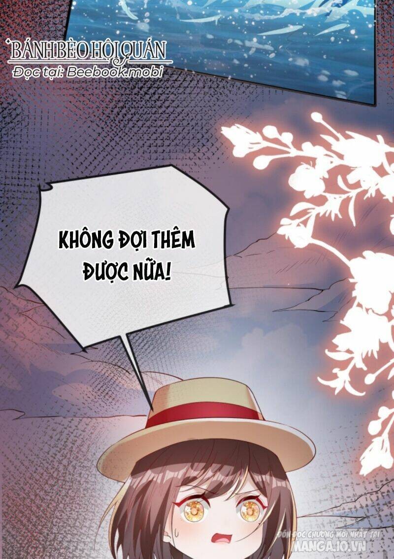 Sủng Bé Cá Koi 3 Tuổi Rưỡi Chapter 25 - Trang 2