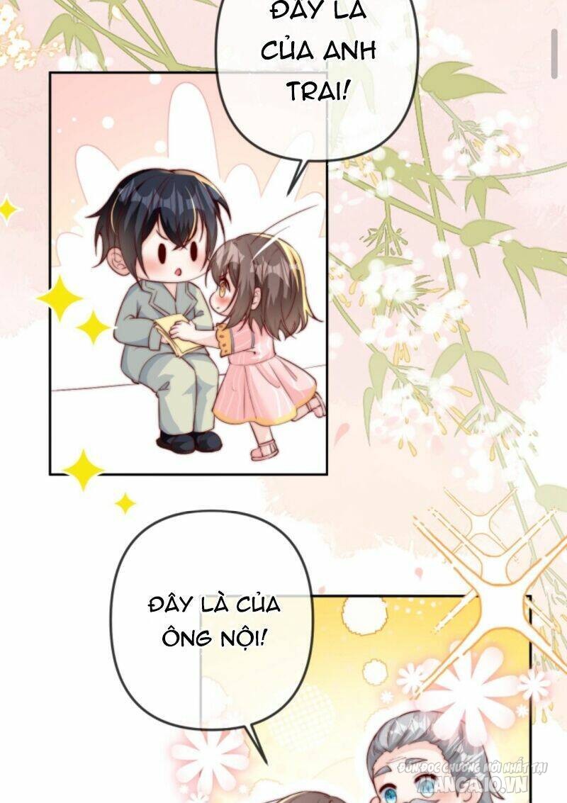 Sủng Bé Cá Koi 3 Tuổi Rưỡi Chapter 26 - Trang 2