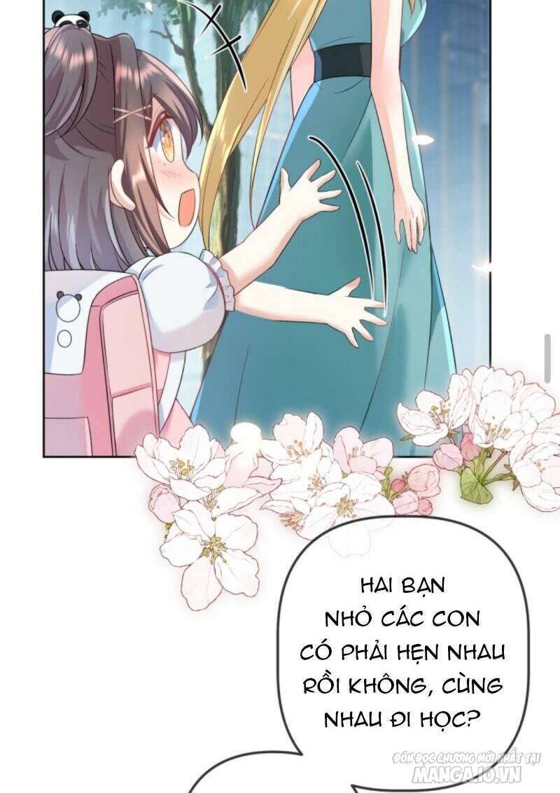 Sủng Bé Cá Koi 3 Tuổi Rưỡi Chapter 27 - Trang 2