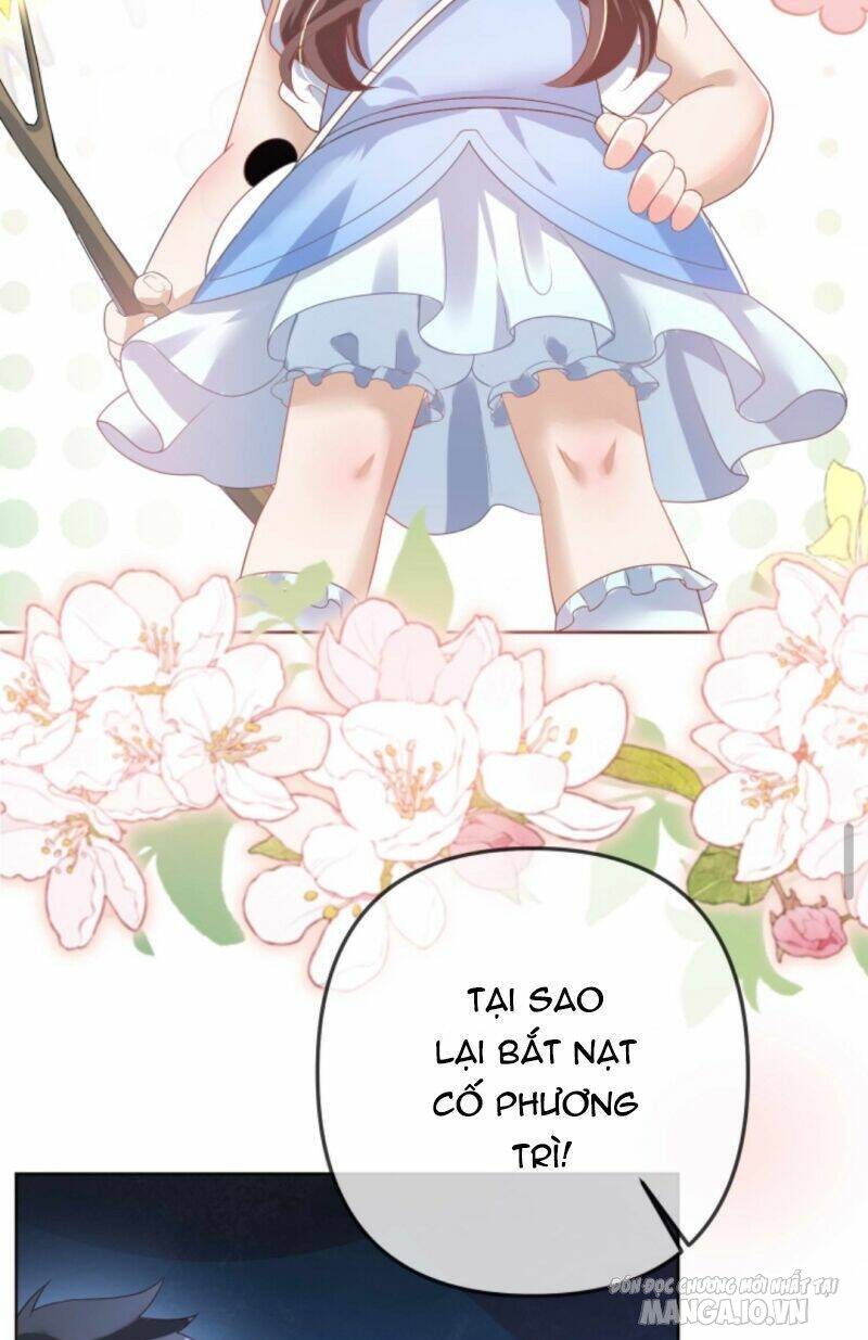 Sủng Bé Cá Koi 3 Tuổi Rưỡi Chapter 29 - Trang 2