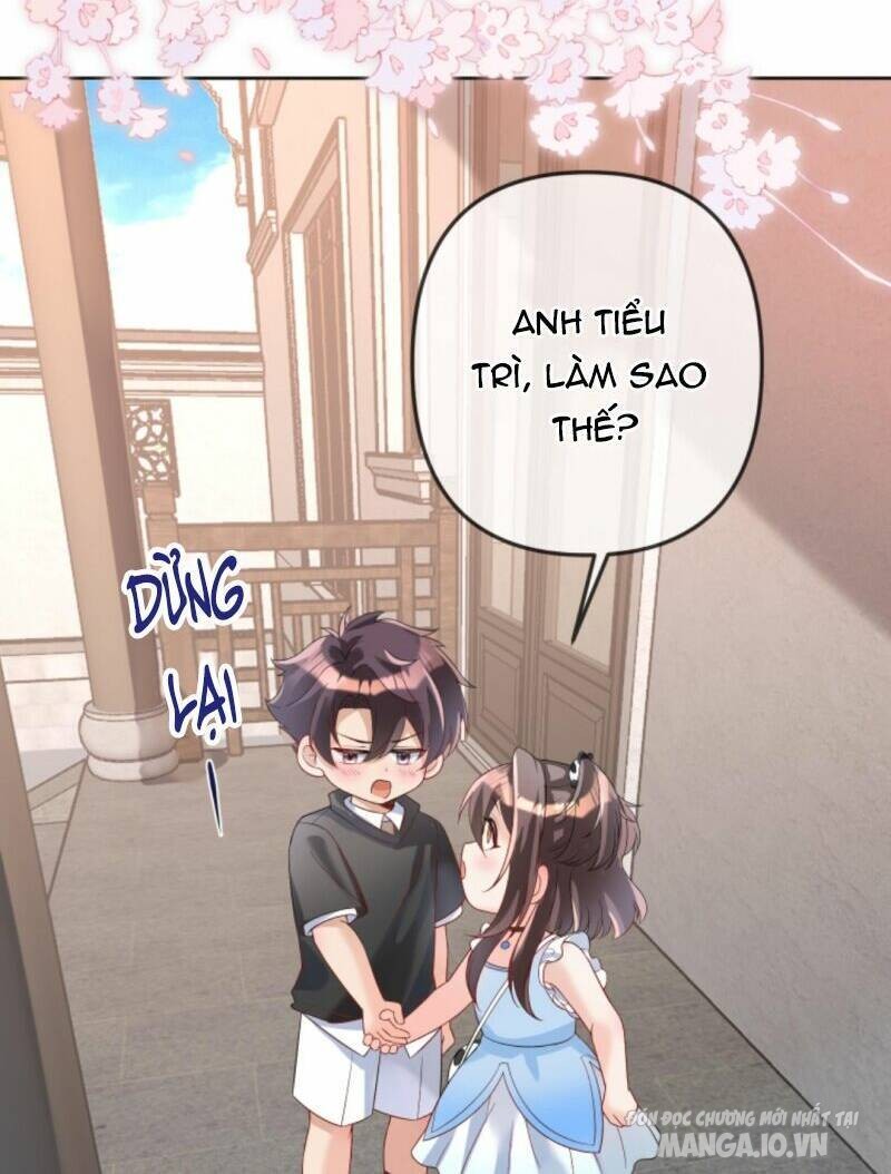 Sủng Bé Cá Koi 3 Tuổi Rưỡi Chapter 29 - Trang 2