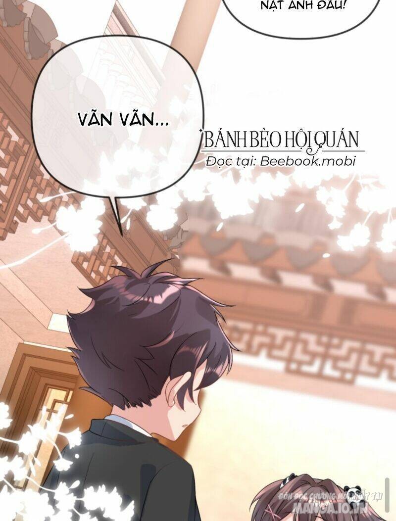 Sủng Bé Cá Koi 3 Tuổi Rưỡi Chapter 29 - Trang 2