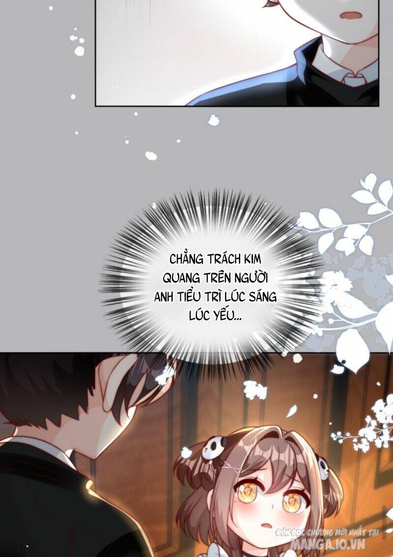 Sủng Bé Cá Koi 3 Tuổi Rưỡi Chapter 31 - Trang 2