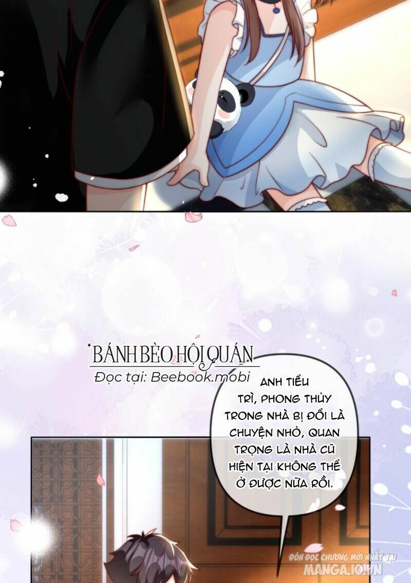 Sủng Bé Cá Koi 3 Tuổi Rưỡi Chapter 31 - Trang 2