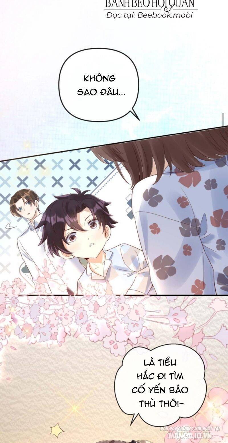 Sủng Bé Cá Koi 3 Tuổi Rưỡi Chapter 33 - Trang 2