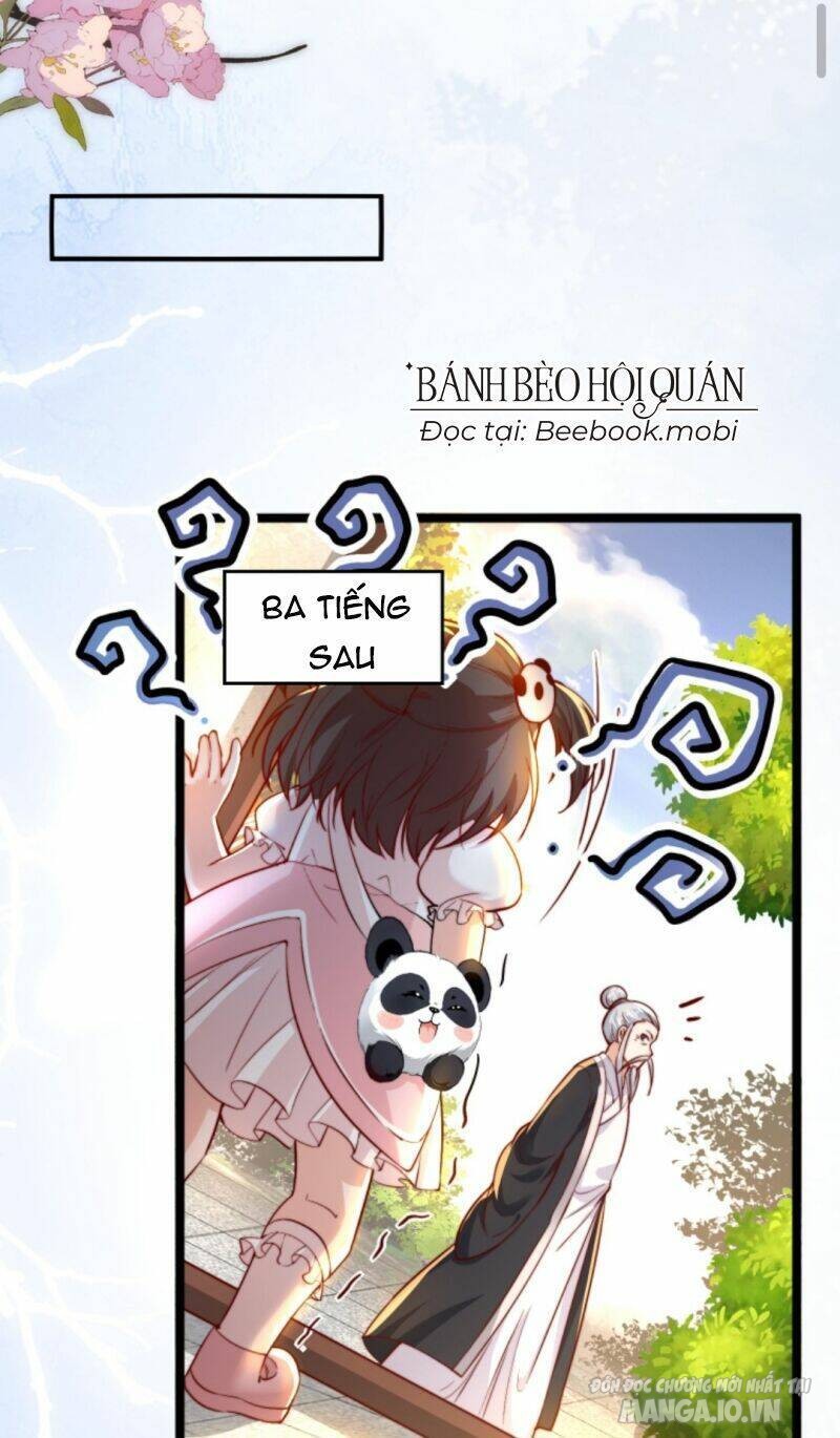 Sủng Bé Cá Koi 3 Tuổi Rưỡi Chapter 36 - Trang 2
