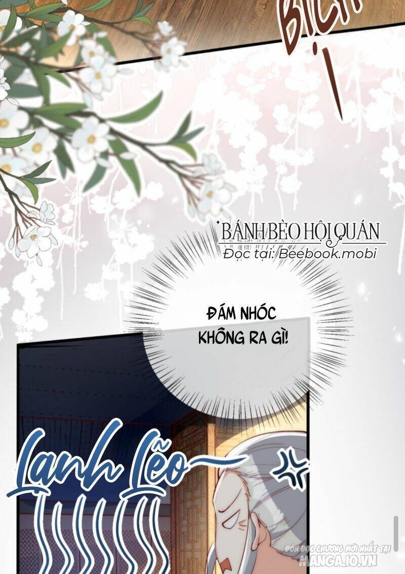 Sủng Bé Cá Koi 3 Tuổi Rưỡi Chapter 36 - Trang 2