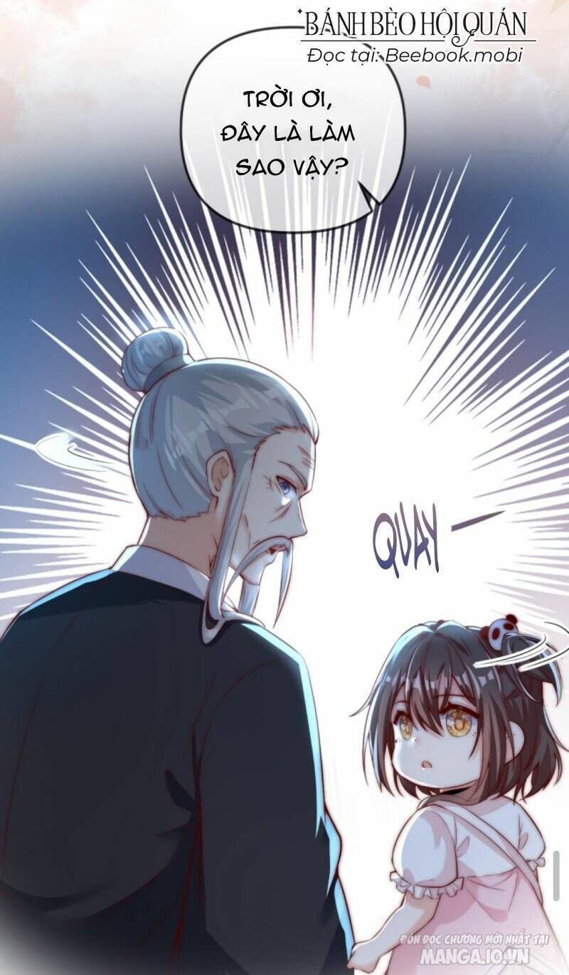 Sủng Bé Cá Koi 3 Tuổi Rưỡi Chapter 36 - Trang 2