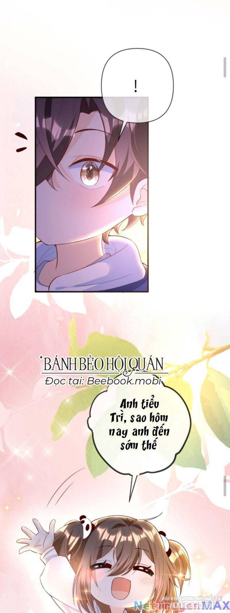 Sủng Bé Cá Koi 3 Tuổi Rưỡi Chapter 37 - Trang 2