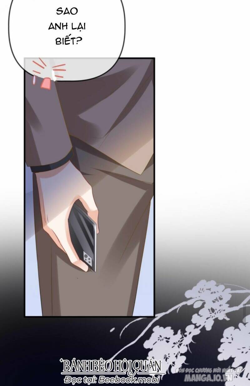 Sủng Bé Cá Koi 3 Tuổi Rưỡi Chapter 39 - Trang 2