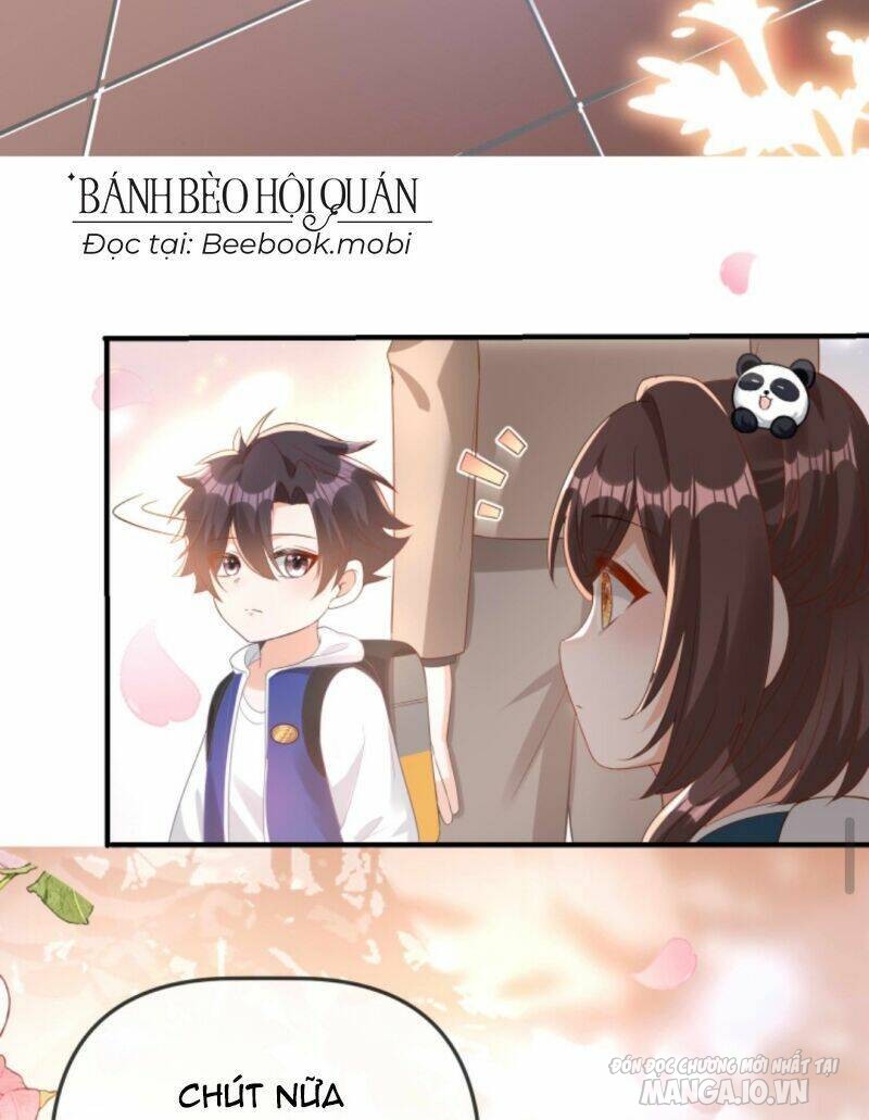 Sủng Bé Cá Koi 3 Tuổi Rưỡi Chapter 39 - Trang 2