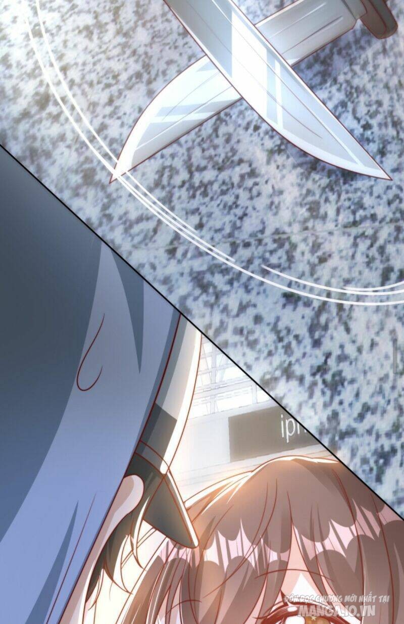 Sủng Bé Cá Koi 3 Tuổi Rưỡi Chapter 4 - Trang 2