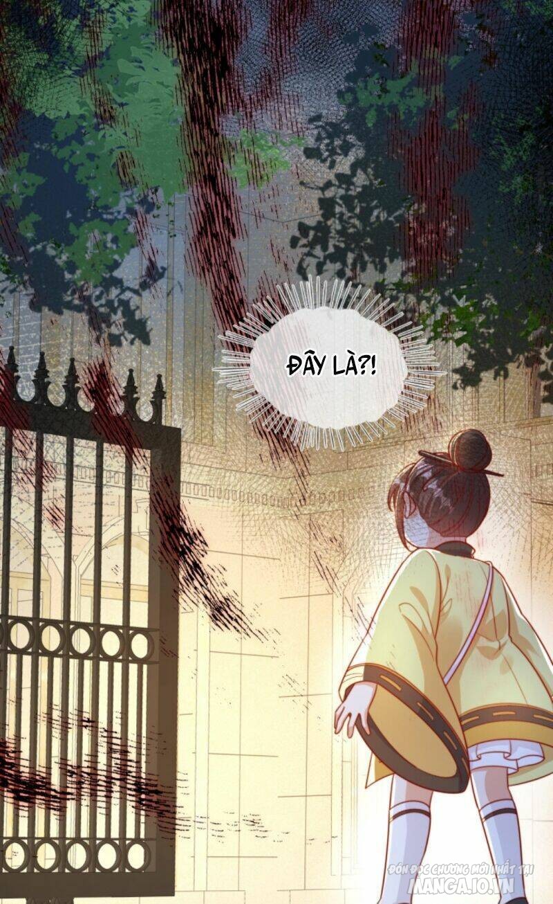 Sủng Bé Cá Koi 3 Tuổi Rưỡi Chapter 4 - Trang 2