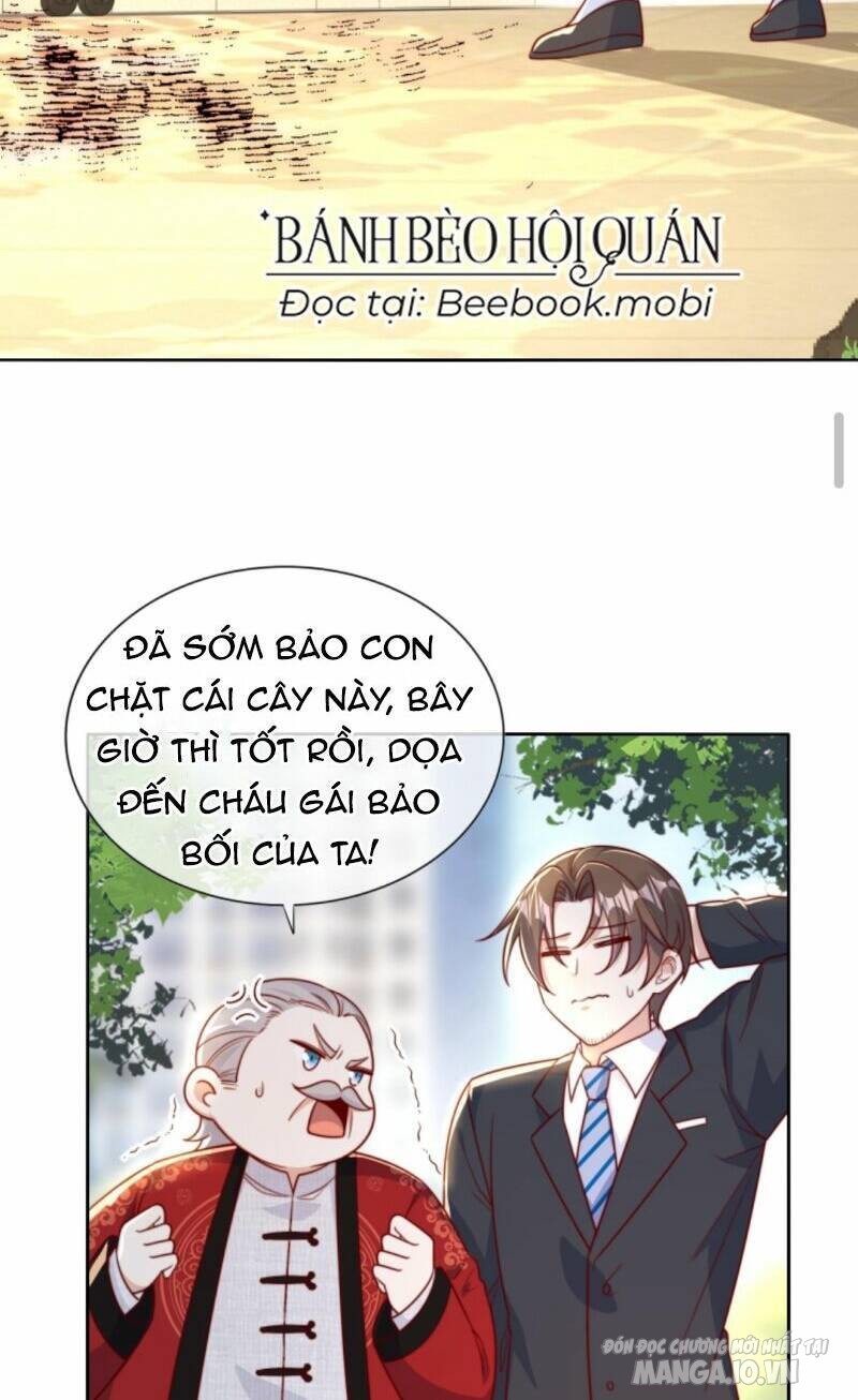 Sủng Bé Cá Koi 3 Tuổi Rưỡi Chapter 4 - Trang 2