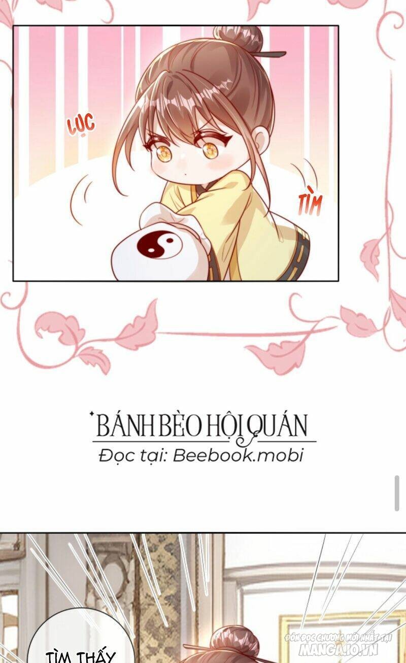 Sủng Bé Cá Koi 3 Tuổi Rưỡi Chapter 4 - Trang 2