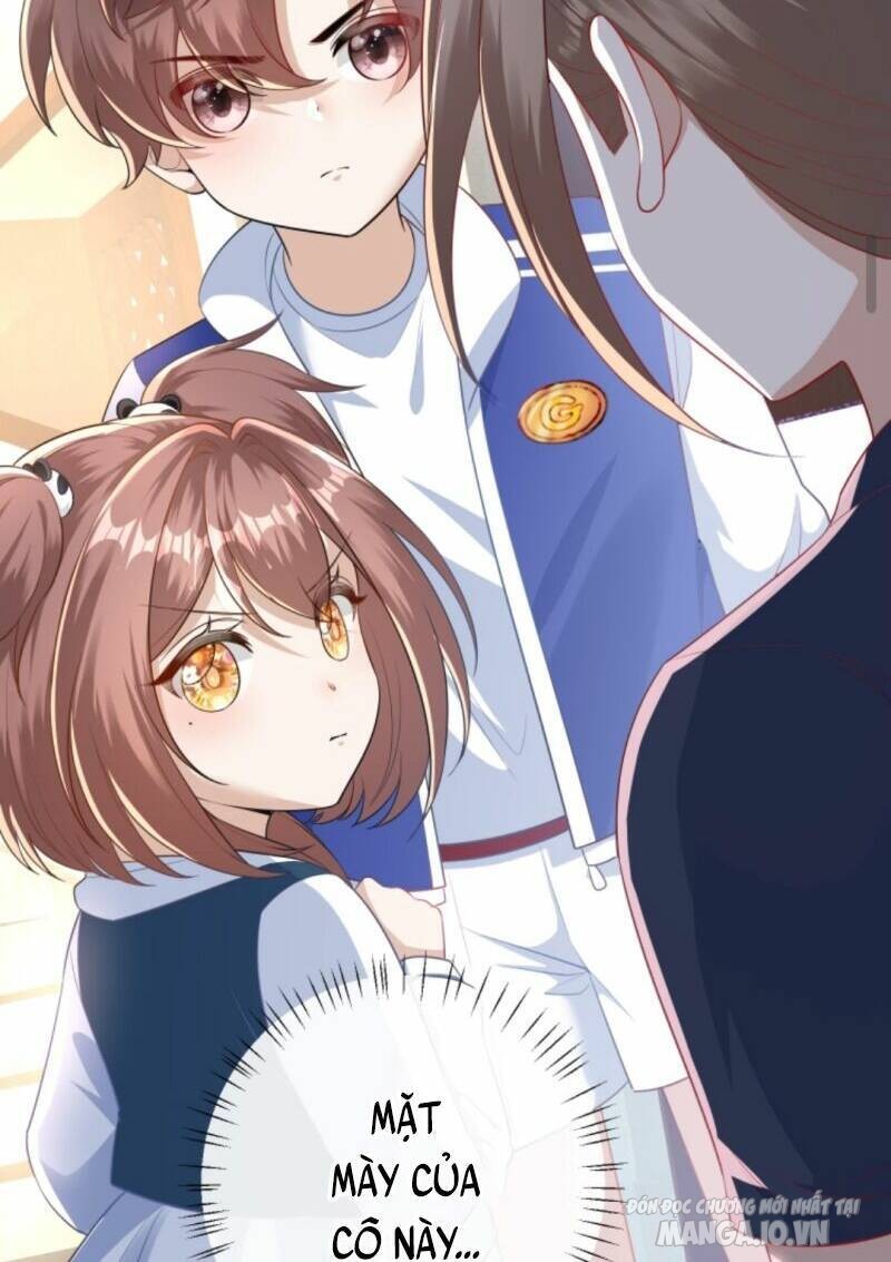 Sủng Bé Cá Koi 3 Tuổi Rưỡi Chapter 40 - Trang 2