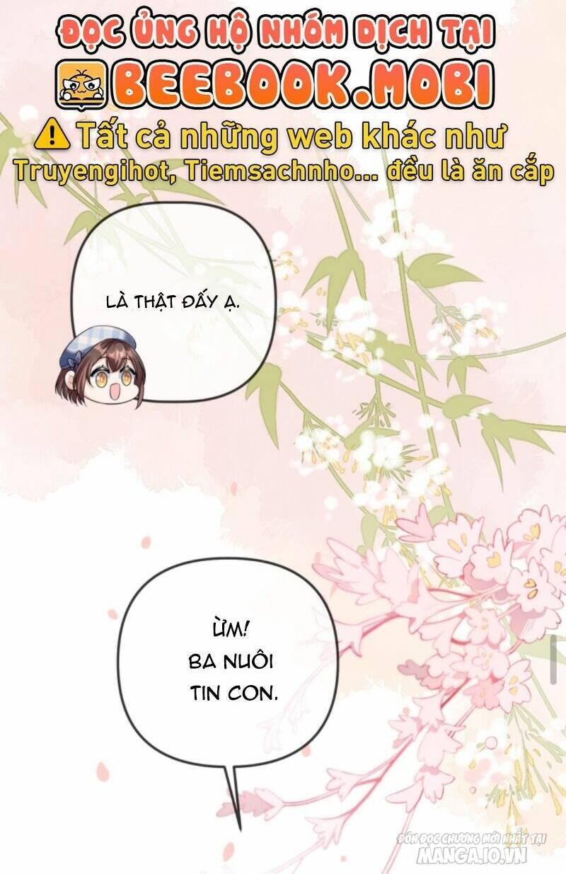 Sủng Bé Cá Koi 3 Tuổi Rưỡi Chapter 42 - Trang 2