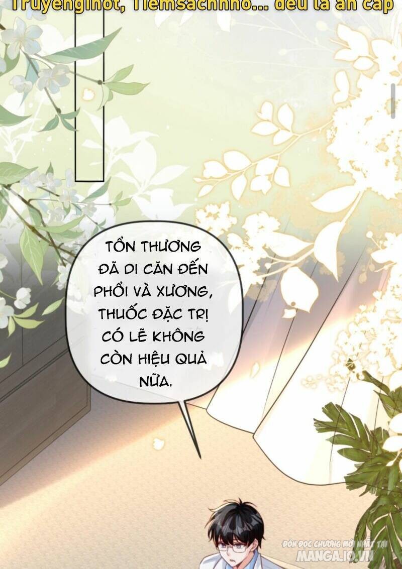 Sủng Bé Cá Koi 3 Tuổi Rưỡi Chapter 43 - Trang 2