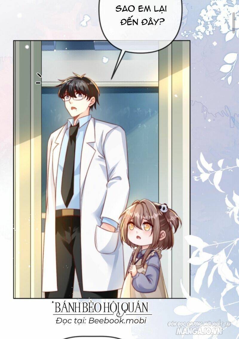 Sủng Bé Cá Koi 3 Tuổi Rưỡi Chapter 43 - Trang 2