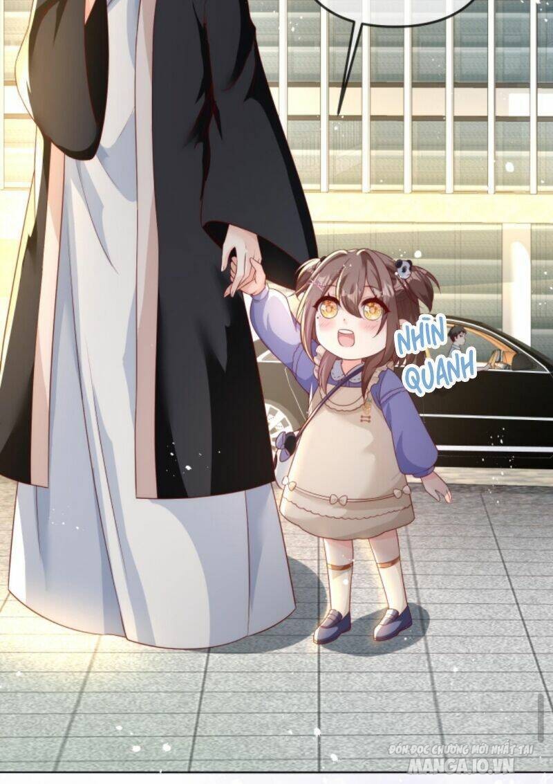 Sủng Bé Cá Koi 3 Tuổi Rưỡi Chapter 43 - Trang 2