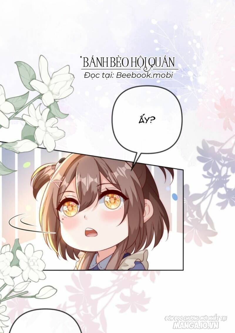 Sủng Bé Cá Koi 3 Tuổi Rưỡi Chapter 43 - Trang 2