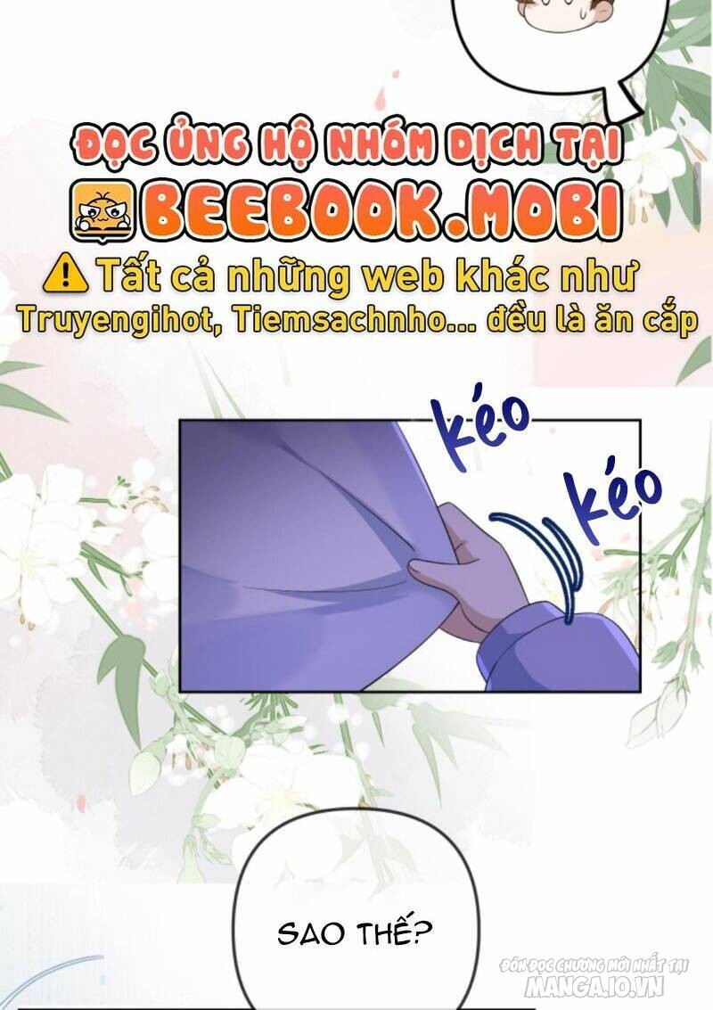 Sủng Bé Cá Koi 3 Tuổi Rưỡi Chapter 44 - Trang 2