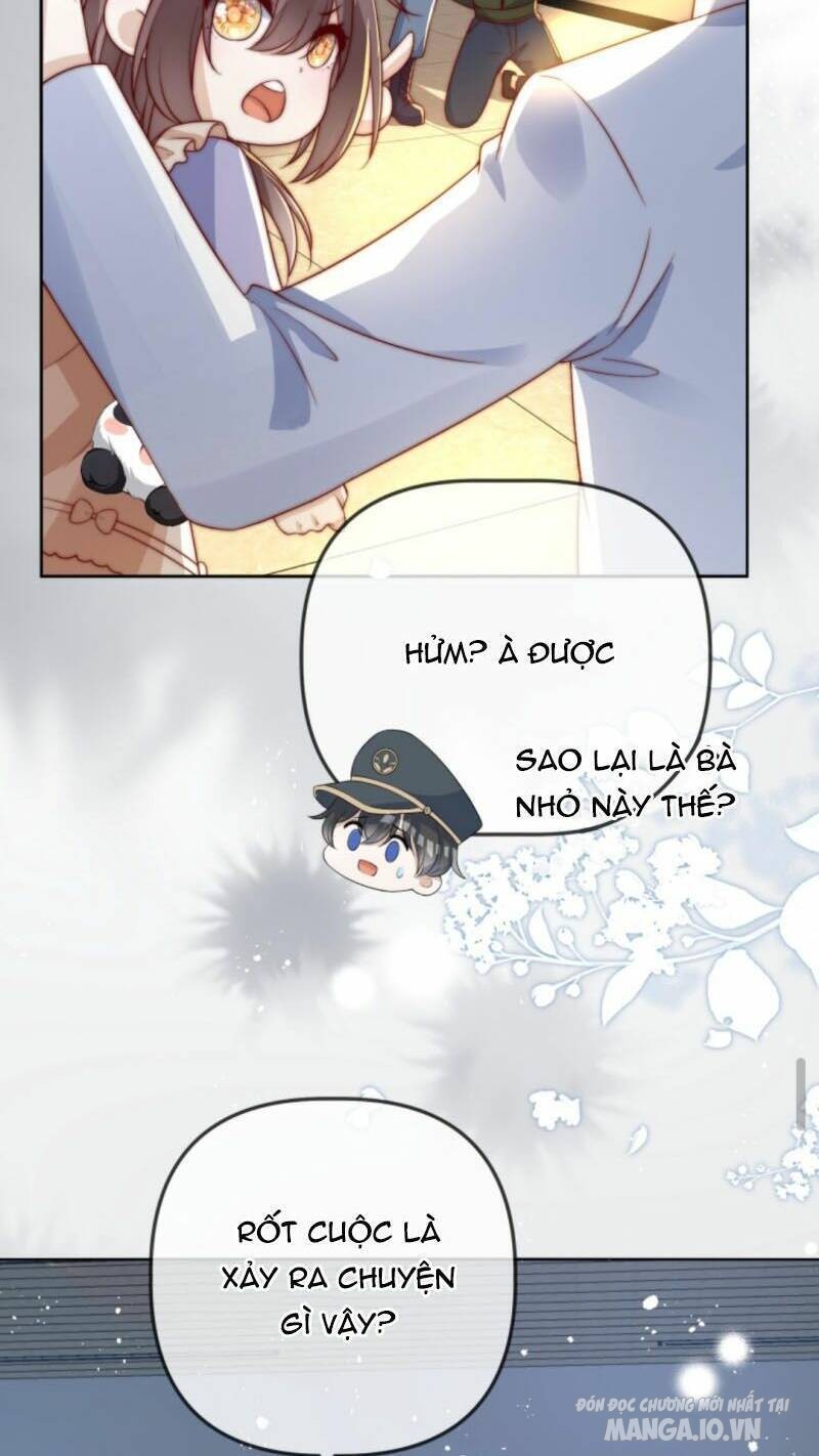 Sủng Bé Cá Koi 3 Tuổi Rưỡi Chapter 45 - Trang 2