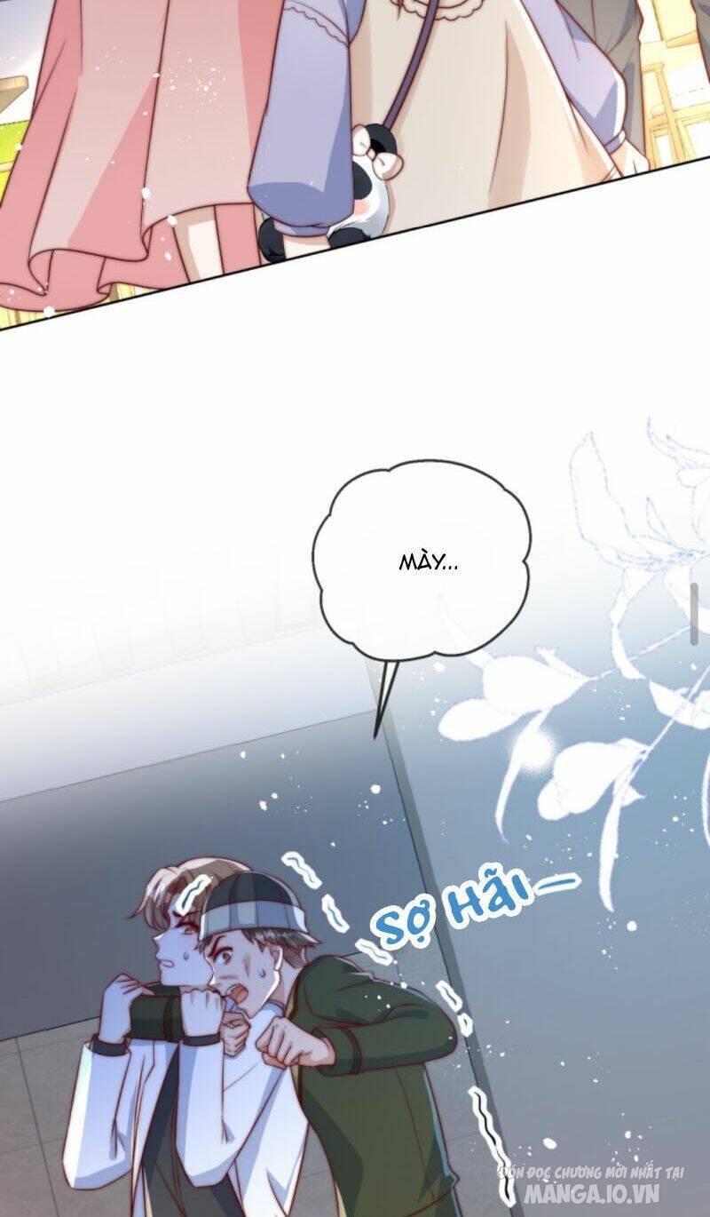 Sủng Bé Cá Koi 3 Tuổi Rưỡi Chapter 45 - Trang 2