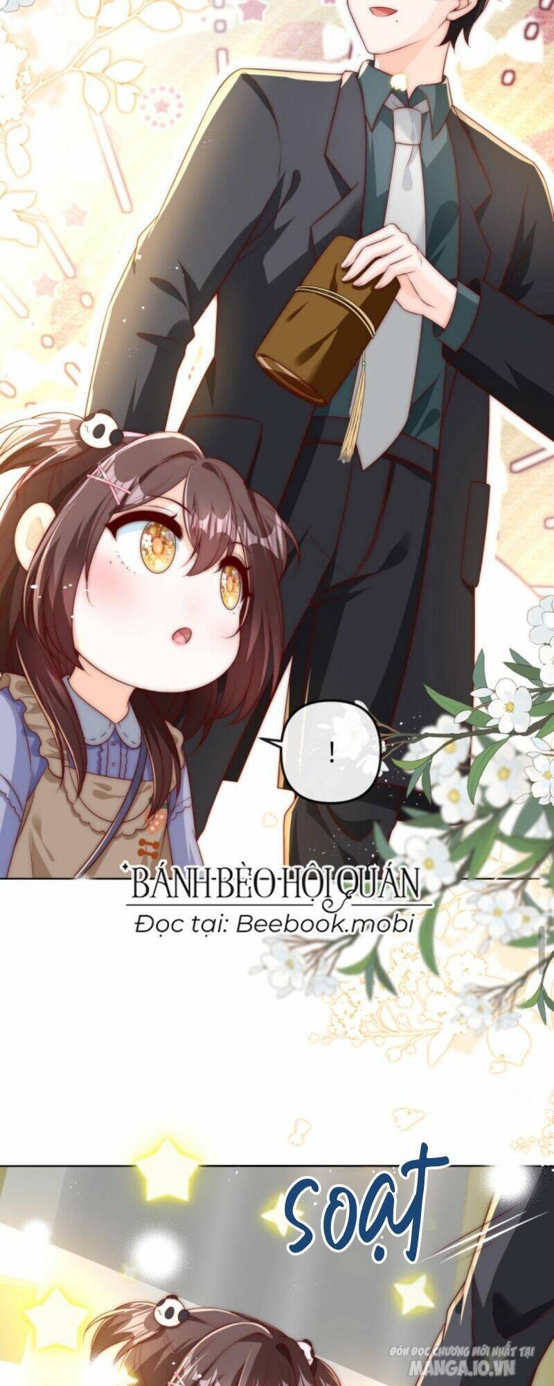 Sủng Bé Cá Koi 3 Tuổi Rưỡi Chapter 46 - Trang 2