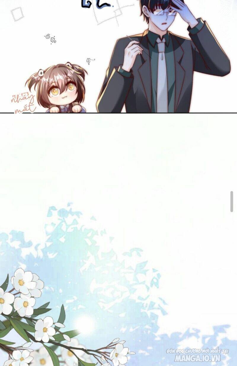 Sủng Bé Cá Koi 3 Tuổi Rưỡi Chapter 46 - Trang 2